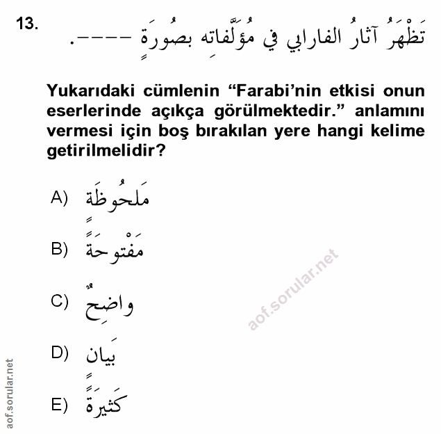 Soru 13