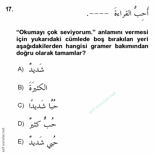 Soru 17