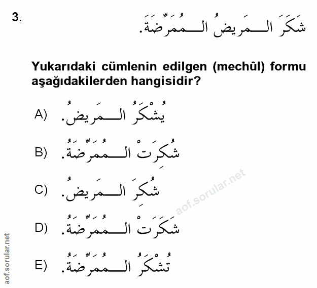 Soru 3