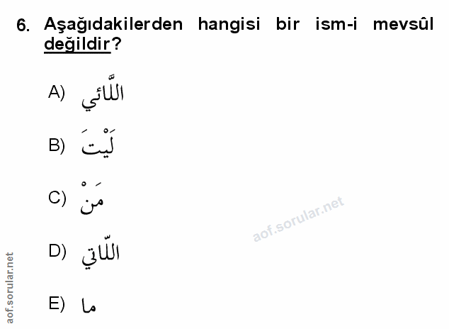 Soru 6
