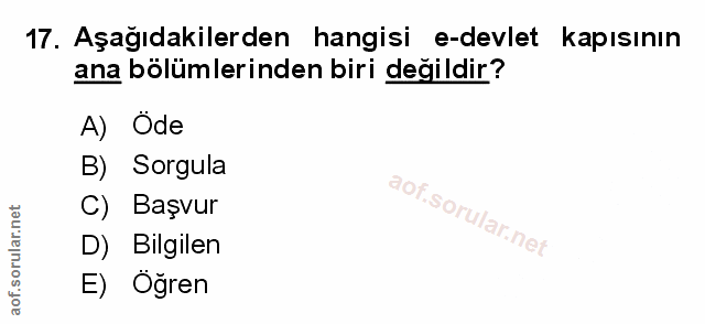 Soru 17