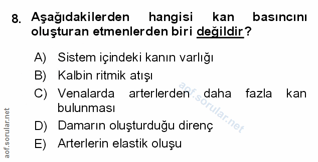 Soru 8