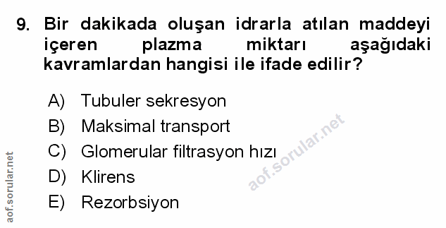 Soru 9