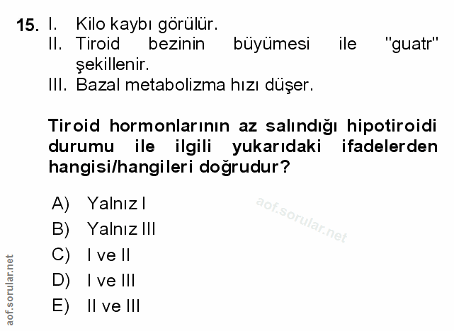Soru 15