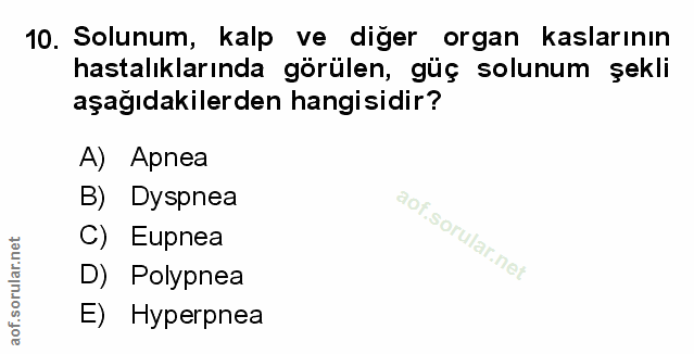 Soru 10