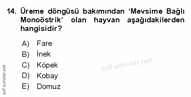 Soru 14