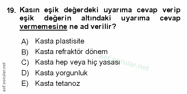 Soru 19