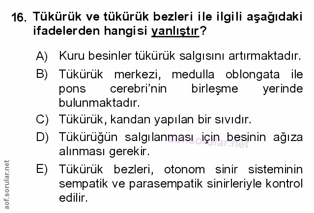Soru 16