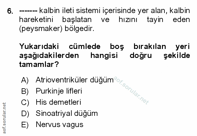 Soru 6