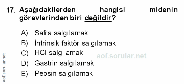 Soru 17