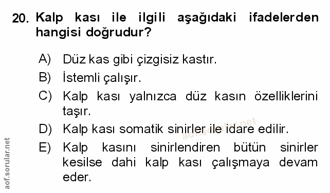 Soru 20