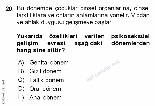 Soru 20