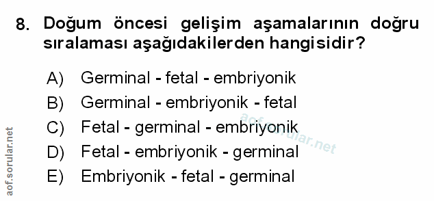 Soru 8