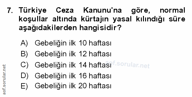 Soru 7