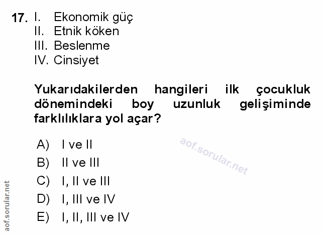 Soru 17