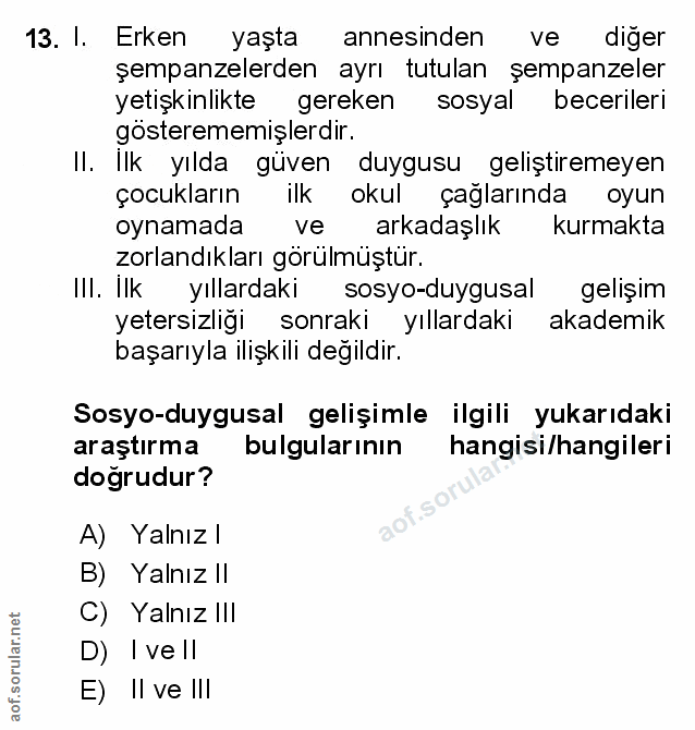 Soru 13
