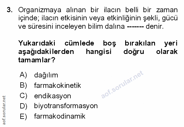 Soru 3