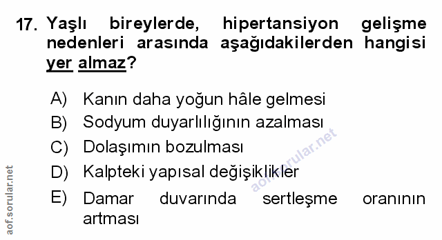 Soru 17