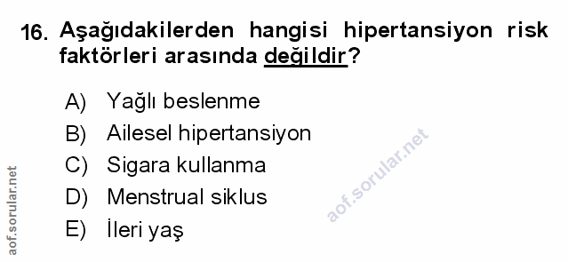 Soru 16