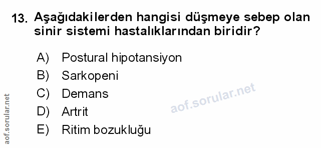 Soru 13