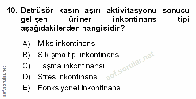 Soru 10