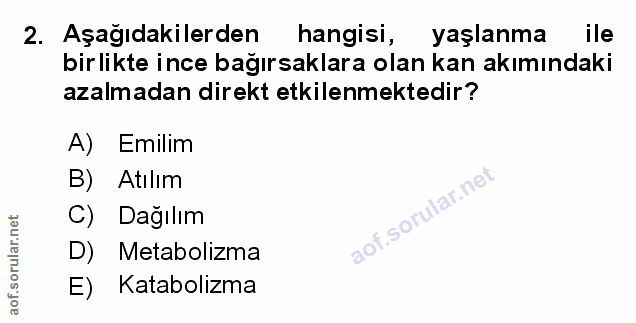 Soru 2