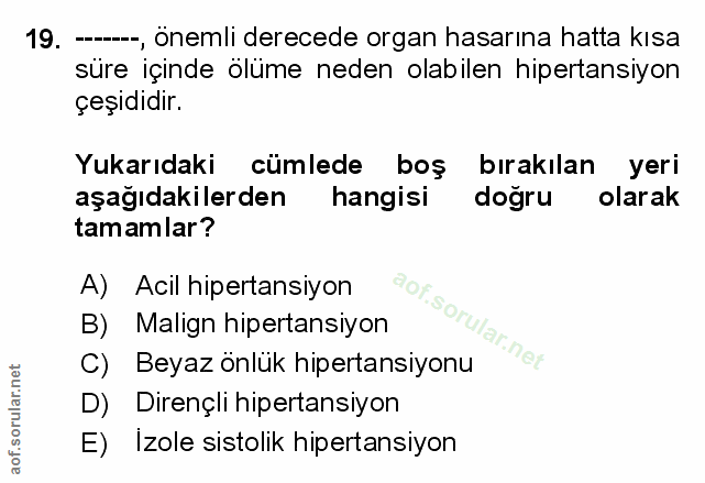 Soru 19