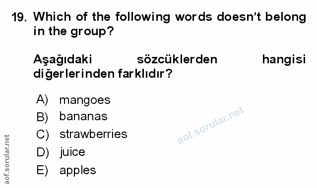 Soru 19