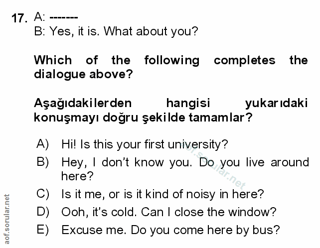 Soru 17