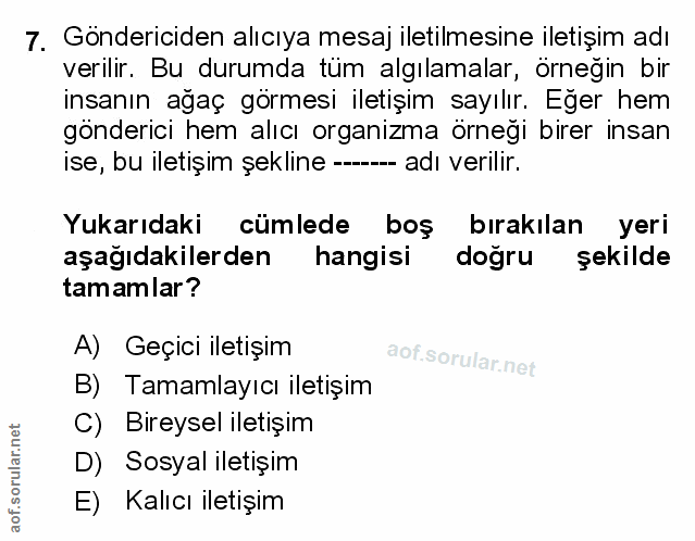 Soru 7