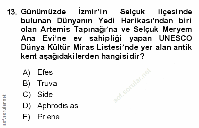 Soru 13