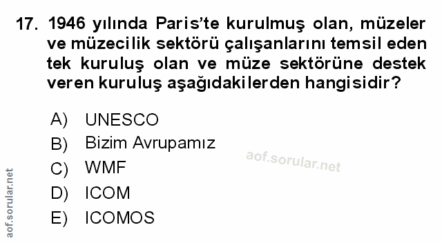Soru 17