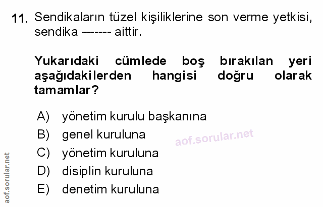 Soru 11