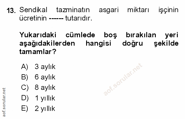Soru 13