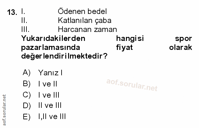 Soru 13