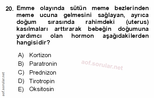 Soru 20