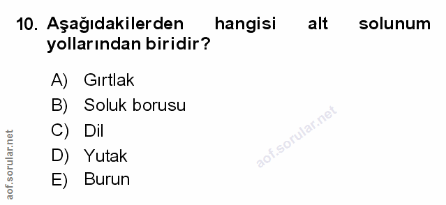 Soru 10