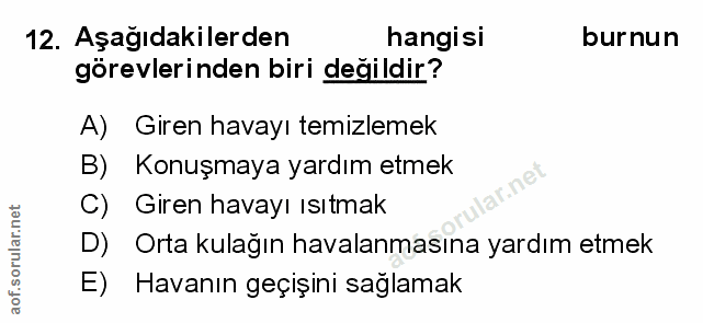 Soru 12