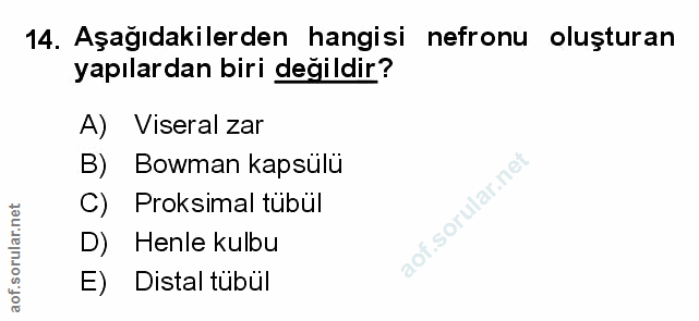 Soru 14