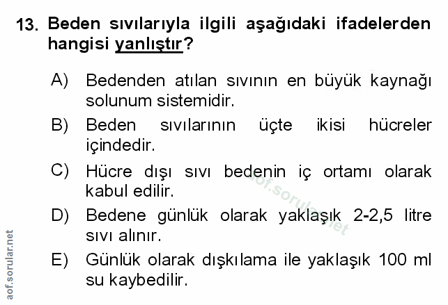 Soru 13