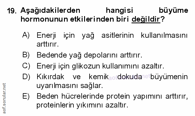 Soru 19