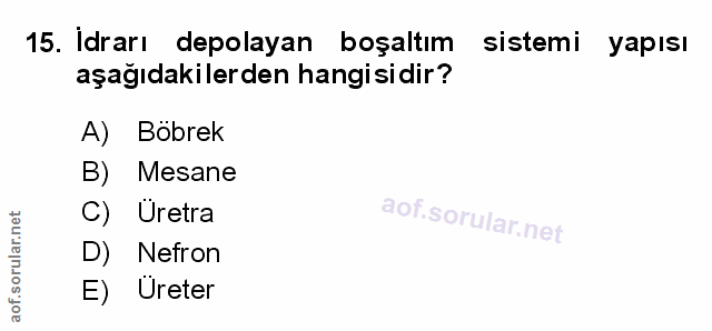 Soru 15
