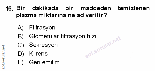 Soru 16