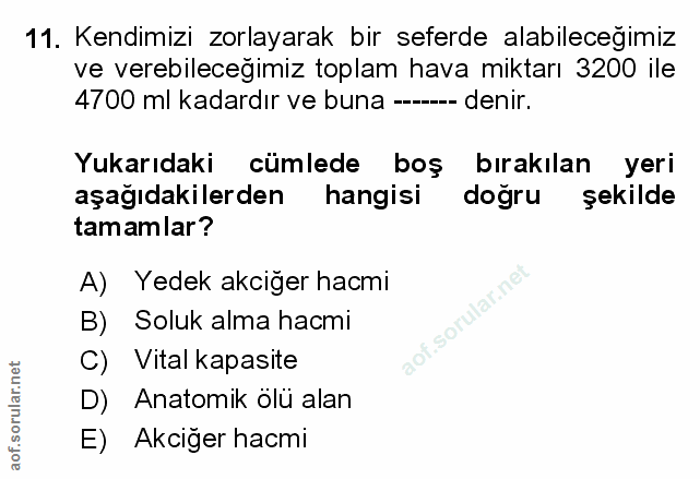 Soru 11