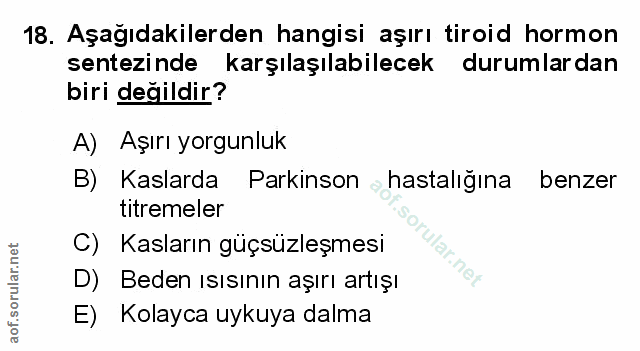Soru 18