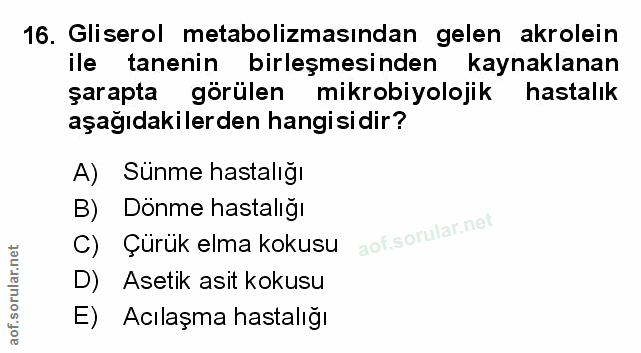 Soru 16