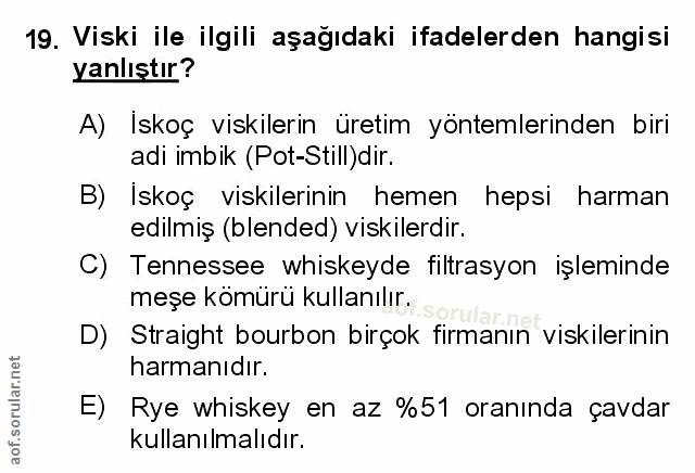 Soru 19