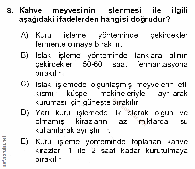 Soru 8