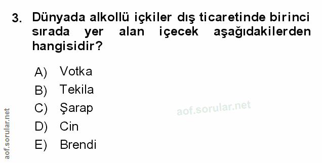 Soru 3