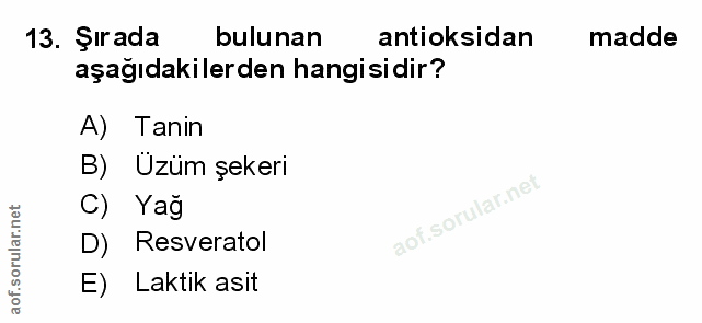 Soru 13